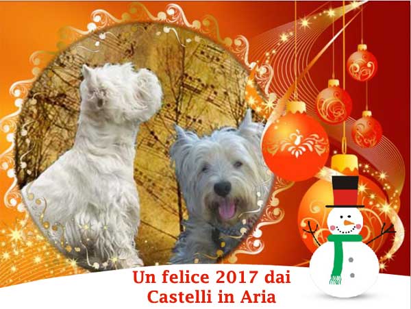 http://www.westie.it/images/2016/natale3.jpg