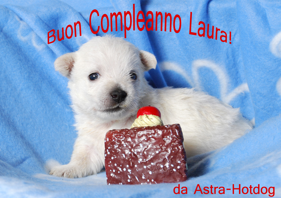 http://www.westie.it/images/2017/augurilaura2017.jpg