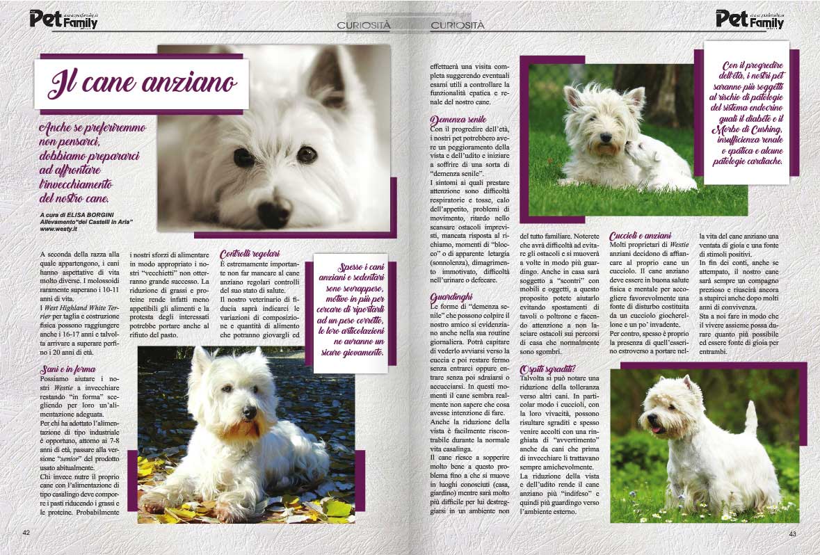 Articolo Pet Family