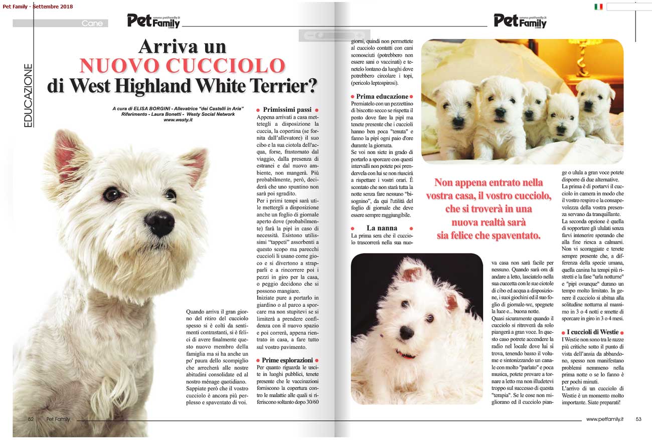 Articolo Pet Family