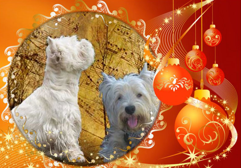 http://www.westie.it/images/2020/nataleforum2020.jpg