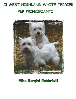 Il West Highland White Terrier per Principianti