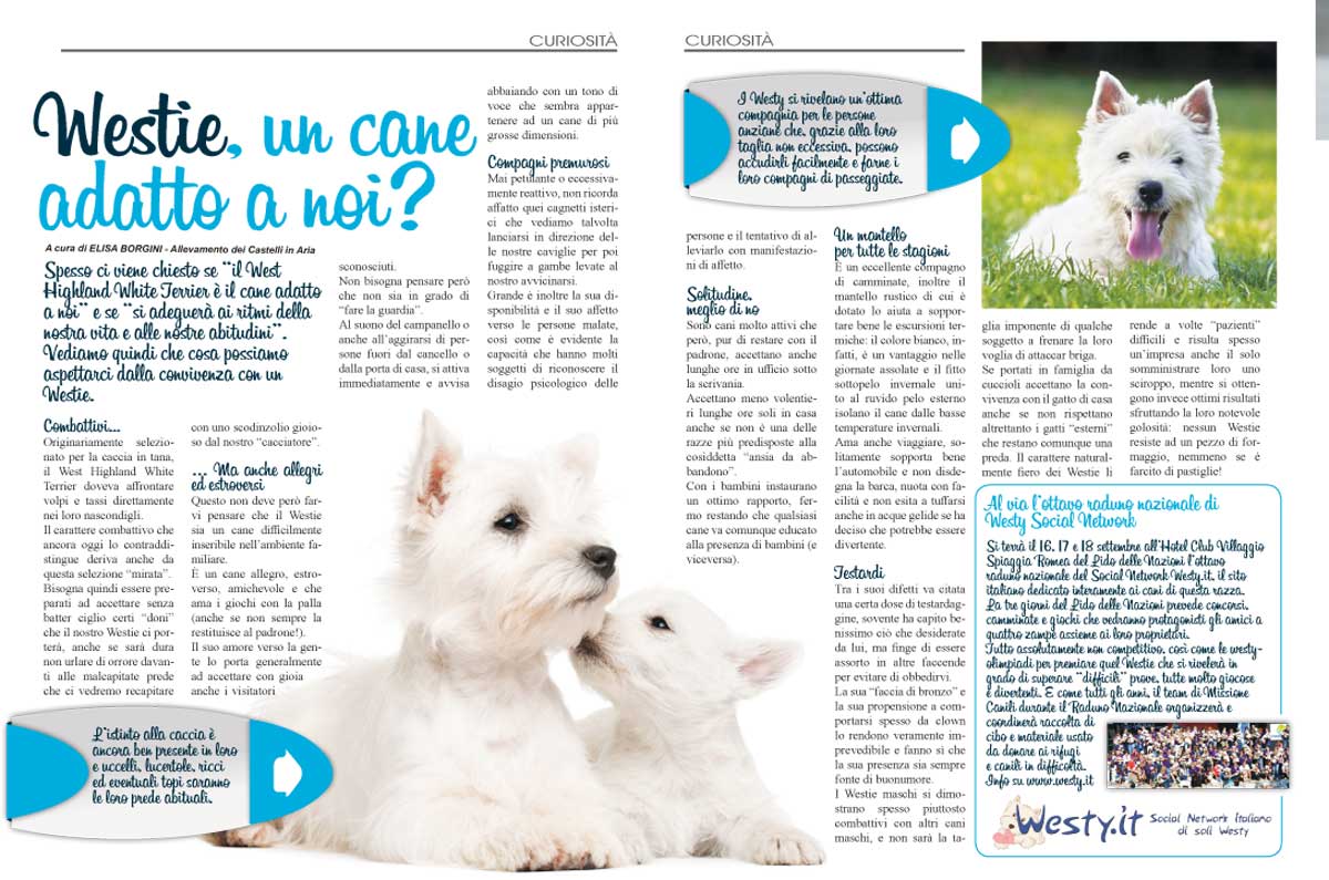 Articolo Pet Family