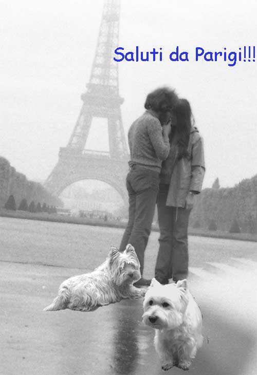 http://www.westie.it/parigi.jpg