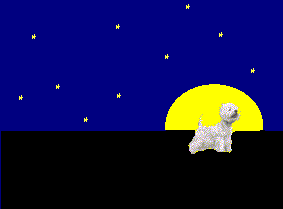 sfondonotte.gif (2594 byte)