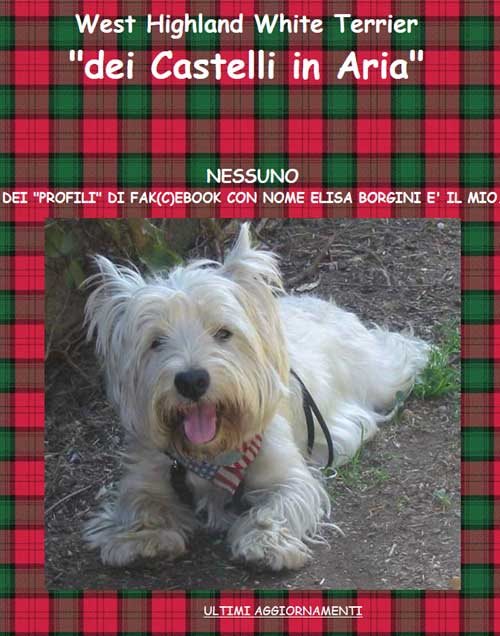 I cani West Highland White Terrier dei Castelli in Aria