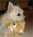 Bella Lilly