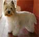 Ohlivia