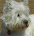 Thaddeus