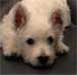 Winnie