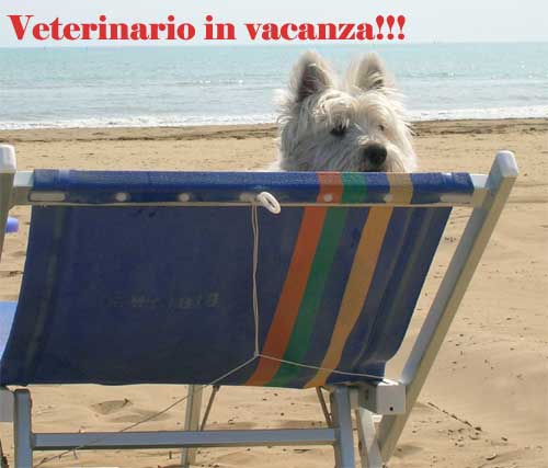 http://www.westie.it/vetvacanza20131.jpg