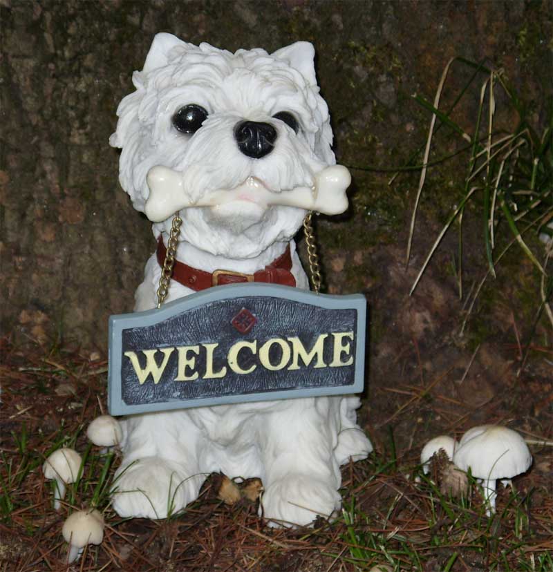 http://www.westie.it/westiewelcome.jpg