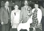 Glenoostie Magician of Rotella